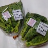 幻の菜花