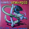 【100円de名盤-80】It's Five O'Clock Somewhere【Slash's Snakepit】