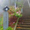 第１７０回blog♪石段＋釈迦院の花祭り
