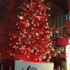 銀座山野楽器店頭のクリスマスツリー