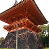 京都の地理紹介と仁和寺散歩【1日京都散歩①】