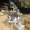 川津来宮神社の狛犬さん