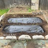 森バナ農園2024⑦『植え付け(5/9-12)』
