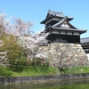 ２０２５ 桜を見る ～ 郡山城跡②
