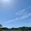 雨上がり、新緑の鎌倉