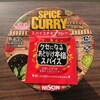 カップヌードル スパイシーチキンカレー♪