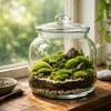 苔テラリウムのソイル代用ガイド｜身近な素材で作る簡単な土の作り方 🌿