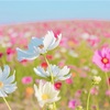 あなたはどの世界を生きている？｜人生を変える「豊かさと幸せの扉」