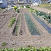 2/29は実家で作業