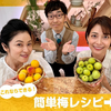 06月20日、相武紗季(2024)