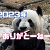 2023年上野動物園おさめ～