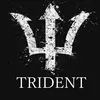 億トレーダー監修【TRIDENT】+相場急騰急落検知システム+急騰急落自動フルピラミッディング+短期間で爆含み益♪+スマフォ通知機能付き♪
