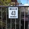 43だと...