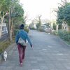 確定申告書の提出も兼ねて鎌倉市海側の東西の距離の6割ほどを徒歩で移動 / 大町から市内各所を抜けて七里ガ浜東へ