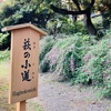 旧芝離宮恩賜庭園「萩の小道」へ。