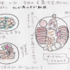 台湾の食文化16（宜蘭の料理）