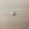 朝から歯が抜けて