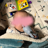 新年のご挨拶＆息子、生後4ヶ月を迎えました