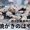 宮島｜焼き牡蠣発祥の店「焼がきのはやし」を口コミ・レビュー