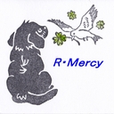 R-Mercyの徒然日記