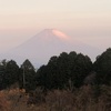 今朝の景色