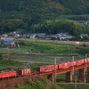 2024/6/19 日の出10分で通過する4071レ日豊貨物