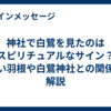 神社で白鷺を見たのはスピリチュアルなサイン？白い羽根や白鷺神社との関係を解説