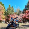 <多治見市>🍁知られざる隠れ絶景紅葉! 生田公園