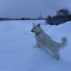 雪よ〜解けろ