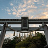 前玉神社の花手水