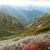 ＜山行報告＞　谷川岳