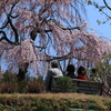 題名「春の特等席」