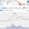 40)  日本株 投資状況（日経ダブルインバース）