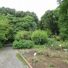 東京都薬用植物園1(東京都小平市)