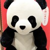 パンダ来日50年を一緒に祝おう！