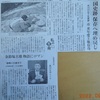 新聞記事を読んで思うこと