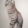 色鉛筆画 猫かいてます