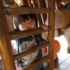いっぱい遊ぼう＾＾♪