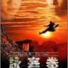 『詠春拳』DVD