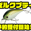 【EVERGREEN】清水盛三プロ監修のクランクベイトのダウンサイズモデル「ゼルクプティ」通販予約受付開始！