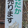 南部鉄器マン・めだか売り！