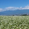 7月３日日