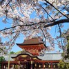 【京都】【桜】『石清水八幡宮』に行ってきました。 京都桜 女子旅