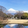 富士山の街へ