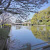 260403_小田原城址公園－６ ＜道案内－１＞