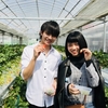 いちご🍓狩り情報４月１日(日)🌸開園日です‼️本日は受付終了しました🙇‍♂️