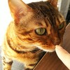 毛柄に魅了される(*^.^*)