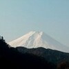 今年最後の月に