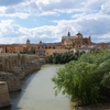 Mezquita de Córdoba