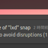 Ubuntuのsnapが勝手にUpdateするので調査